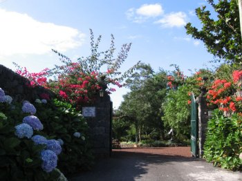 Quinta das Ac�cias